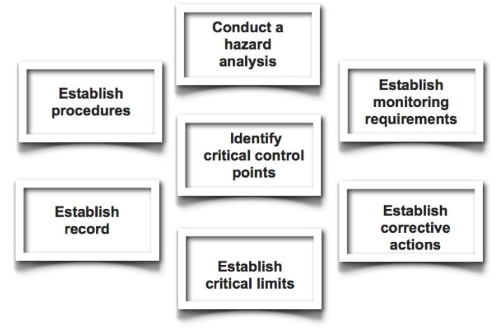 7 HACCP princples(1)